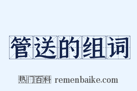 管送的组词是什么意思的图片